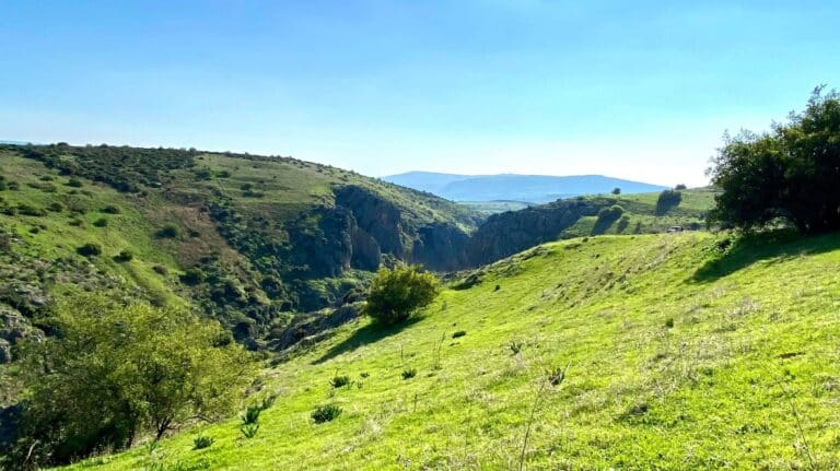 Israel in November by Giora Shor