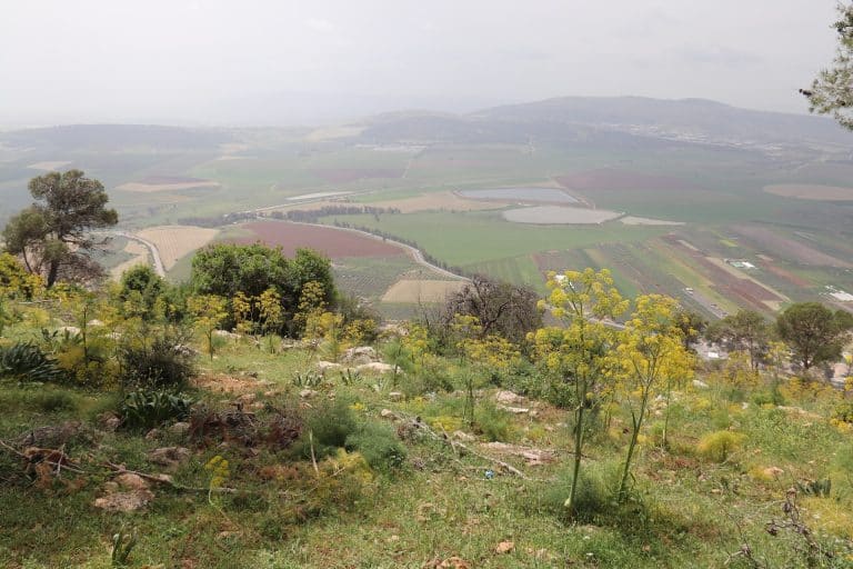 Jezreel Valley, Northern Israel