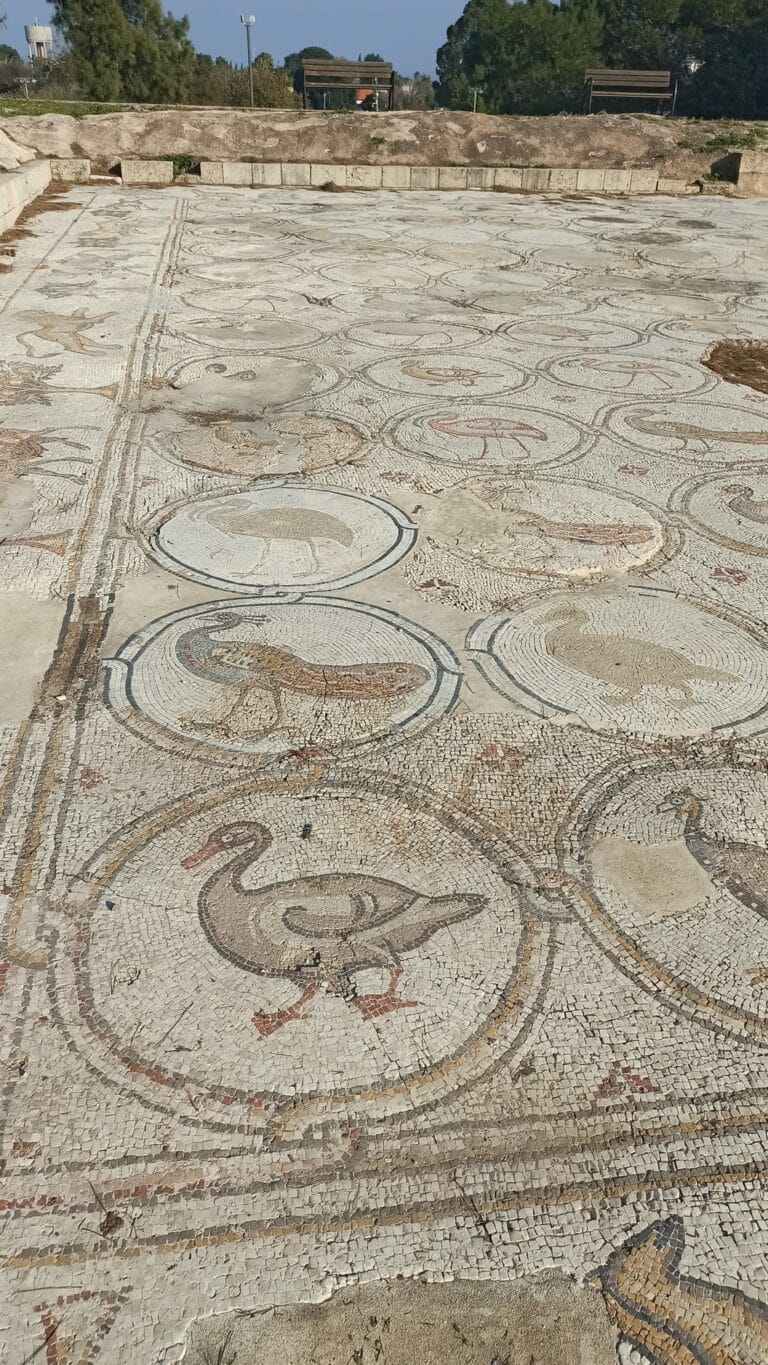 Bird mosaic in Caesarea park