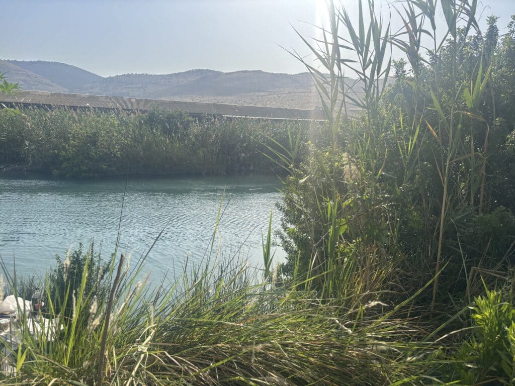 Ein Migdal