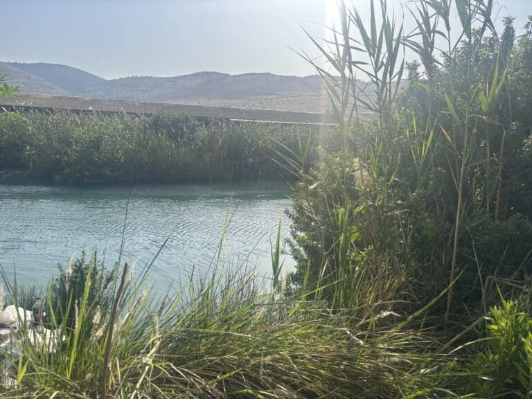 Ein Migdal
