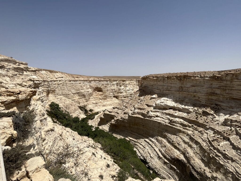 Ein Avdat National Park, canyon top view.