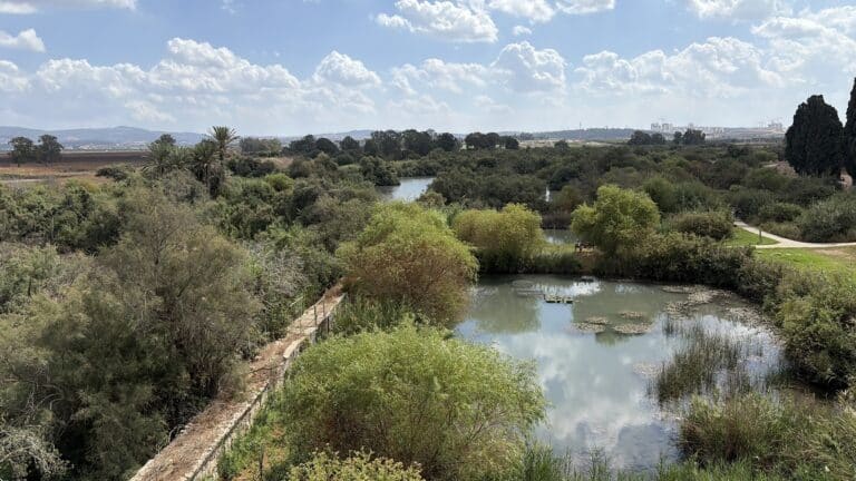Ein Afek park