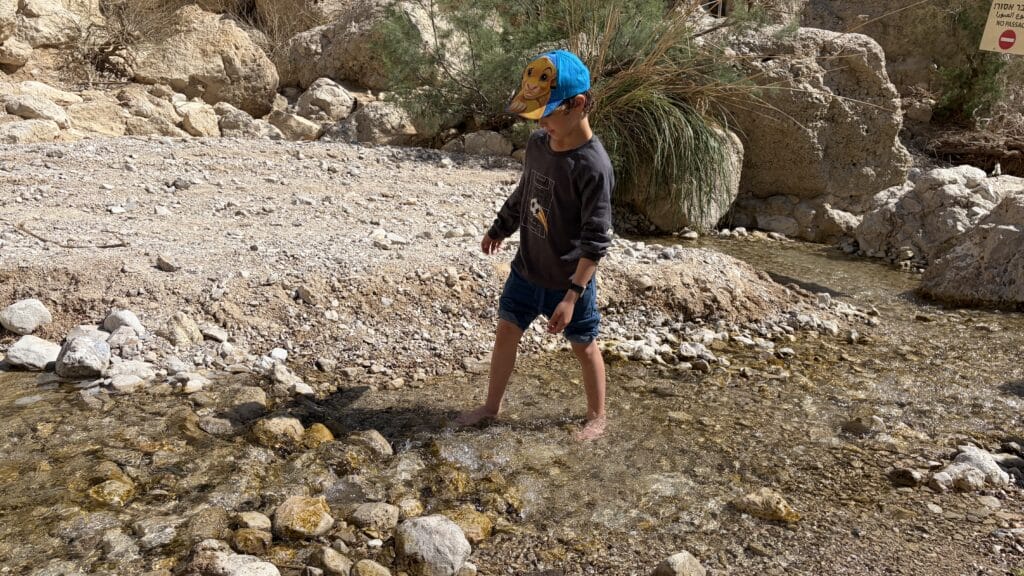 Nahal David, En Gedi