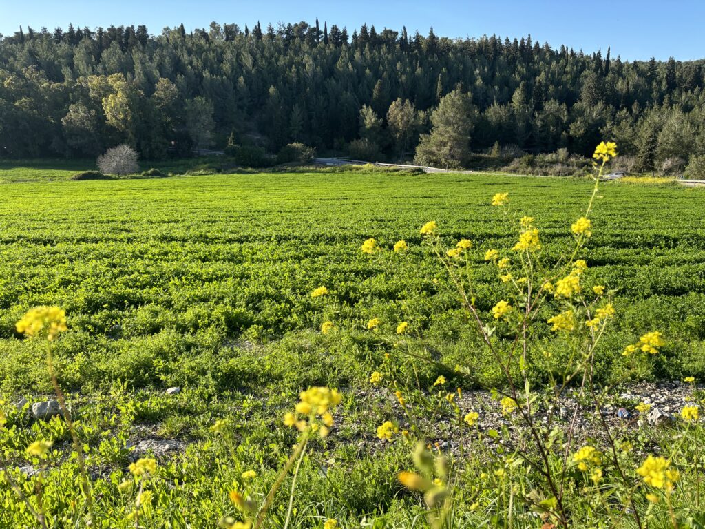 Ramot Menashe